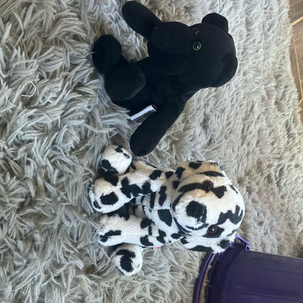 Chelsea Teddy Bear & Douglas Dog